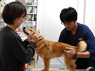 ペット救うため早朝７時から診察開始　働く飼い主にも好評