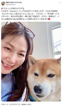 島えりかのX(旧ツイッター)＠ErikaShimaより