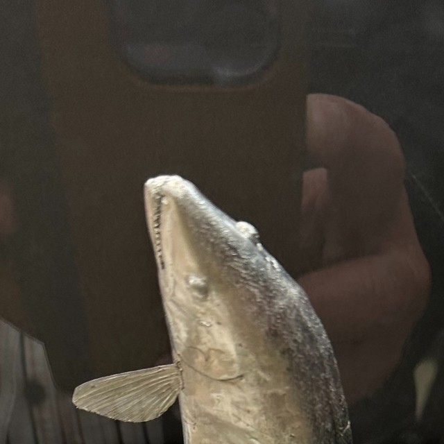 はんだで作られた「鮎」／投稿主さん提供＝画像をトリミングしています