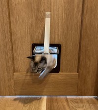 功を奏した！（提供：昼休みのねこさん）