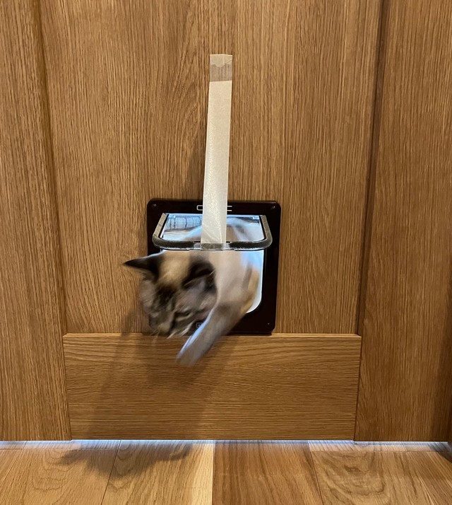 功を奏した！（提供：昼休みのねこさん）