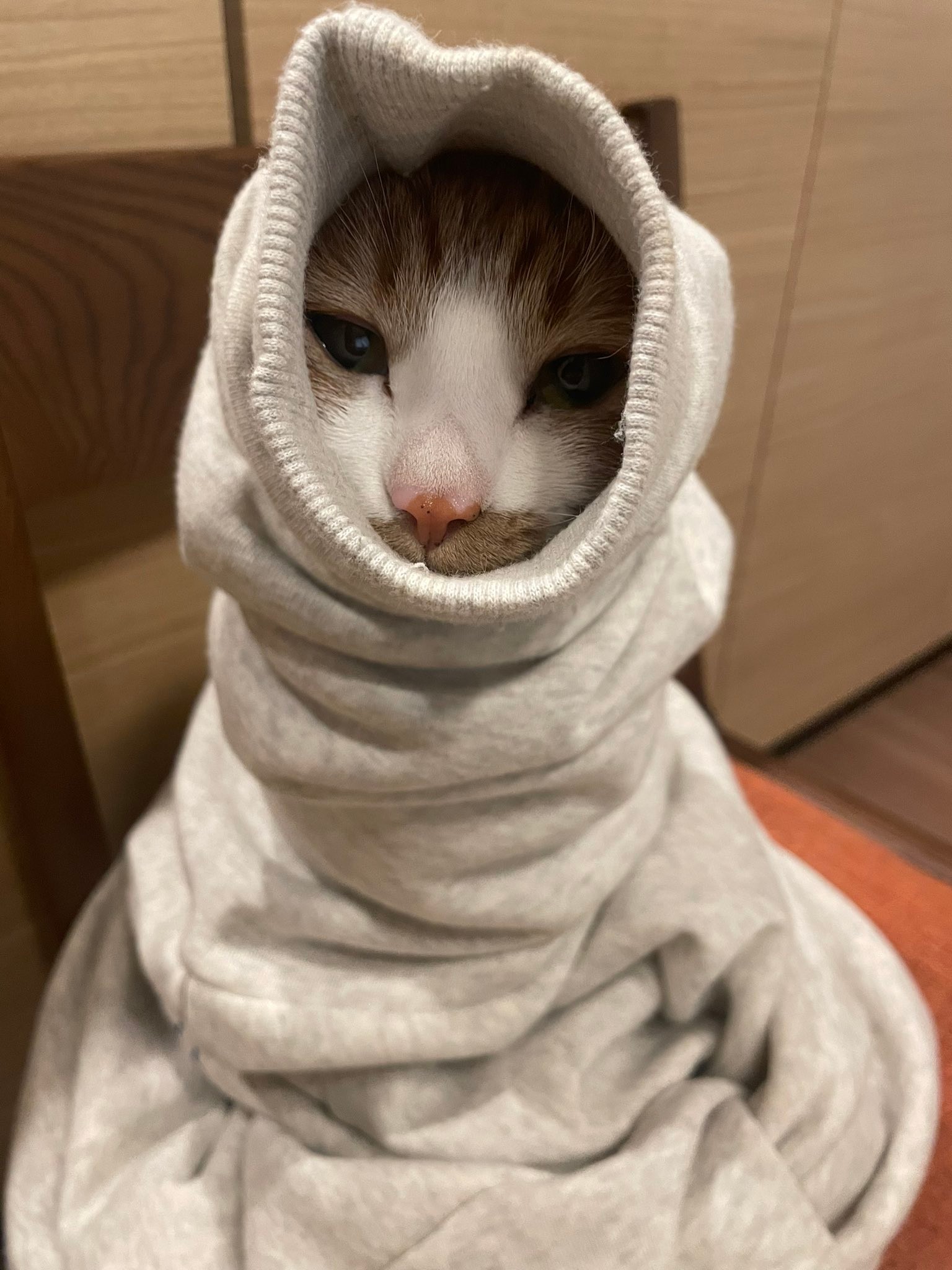 milkboy CAT EYES 猫 ネコ キャット スウェット トレーナー トレーナー  