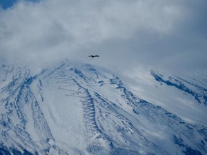 政治を口にすると場が凍る。それでも私は自分の生活を自分で選びたい