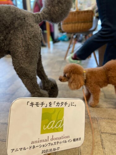 「キモチをカタチに。」はアニドネのキャッチフレーズ。具現化された軽井沢の愛犬家のみなさまには尊敬と心からの感謝をお伝えしました。「2回目はいつ？」の声もあるそう！