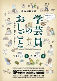 第５６回特別展「学芸員のおしごと」開催中です（提供：大阪市立自然史博物館）