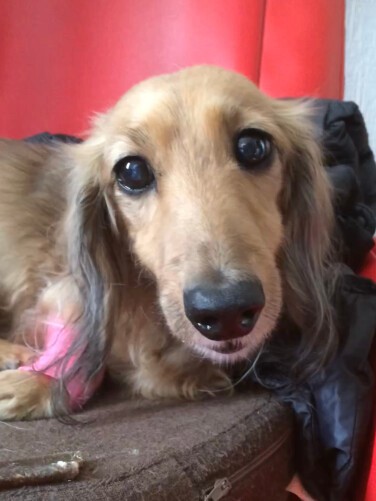 抗がん剤治療をしていた頃（山中さん提供）