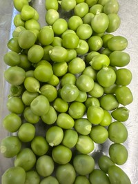 豆苗からグリーンピースが／翔さん（@wanko.blog）提供