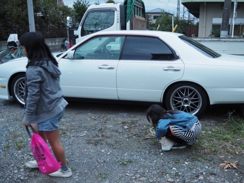 猫はいないかな（菅聖子さん提供）