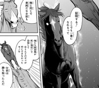 「子を一頭残すこと、それはひとつ勝ち星を上げることに等しい」とアカギファルコは考えている（高草木こぶさん提供）