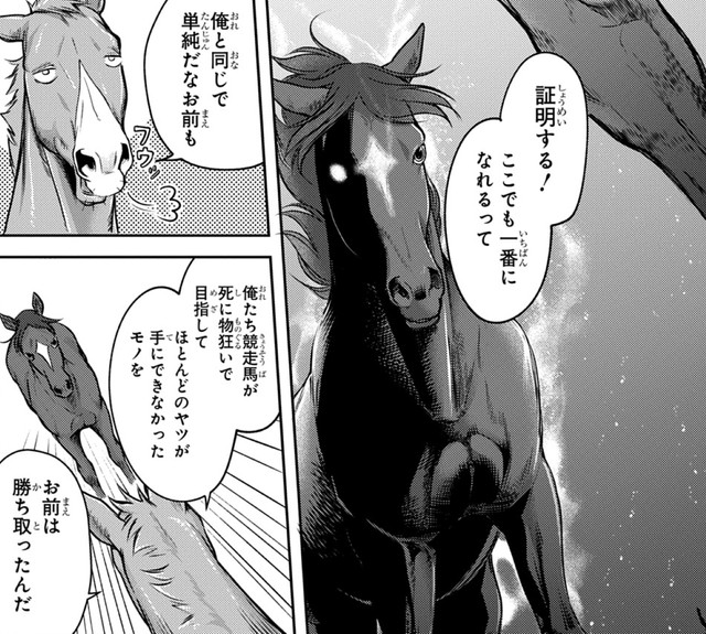 「子を一頭残すこと、それはひとつ勝ち星を上げることに等しい」とアカギファルコは考えている（高草木こぶさん提供）