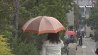 中国地方が梅雨入り　去年より11日早く　平年より3日遅い