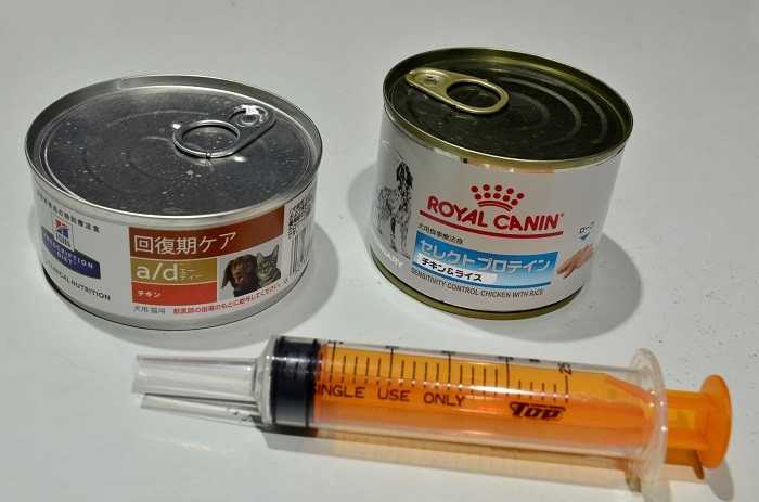 チョイさんが自力で食べられなくなってからは、シリンジで食べ物を口に入れる強制給餌（きゅうじ）も行った