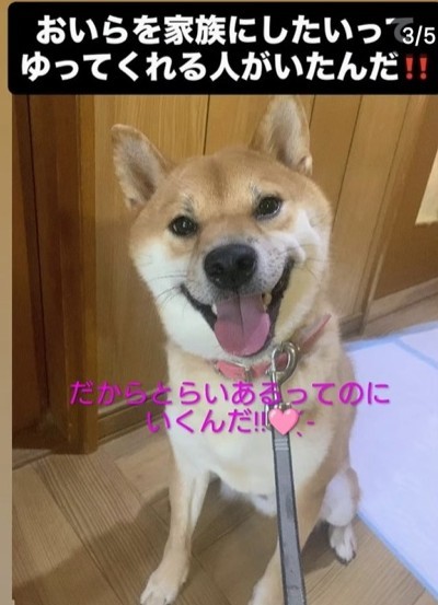 龍くん、幸せになってね（meguさん提供、Instagramよりキャプチャ撮影）