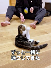 パパとボール遊びするこたろうくん（画像提供：こたとつーちゃんと時々おたまさん）