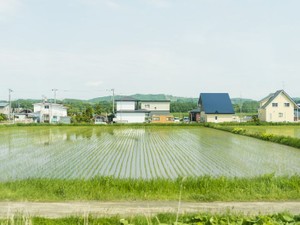 農地の信託は原則禁止 それでも信託するにはどんな手続きが必要？