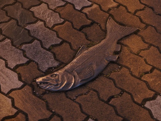 釧路の繁華街・末広町付近の道路に埋められた実物大の鮭のレリーフ ※Towersさん提供