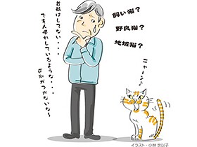 捨て猫どうするの？　引き取る×引き取らない…　議論沸騰