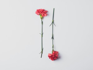 母の日は母親のためにあるはずなのに。父との苦い思い出