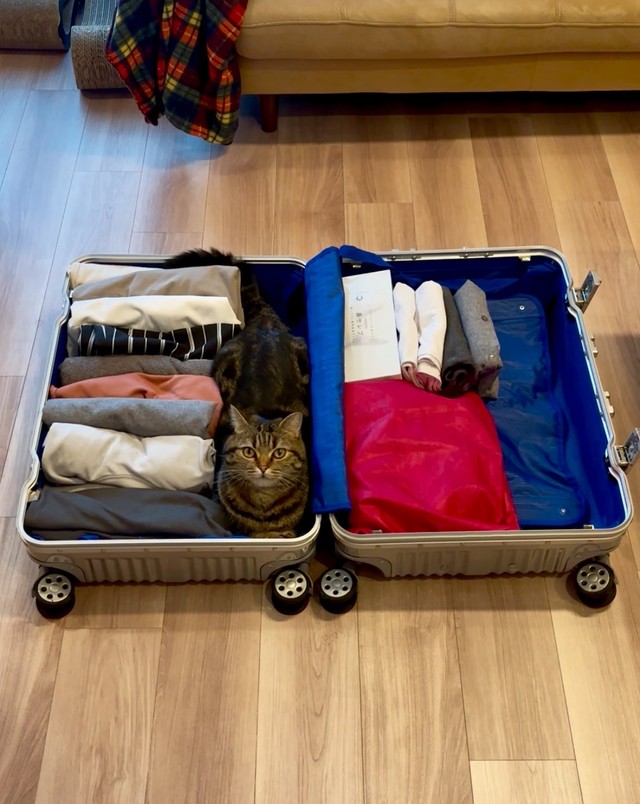 専用のスペース？ピッタリすぎる（あんこともなか充電ねこさん提供）