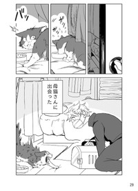 母猫さんと対面した時の様子を描いたマンガ（画像提供：黒猫クロさんのマンガより）