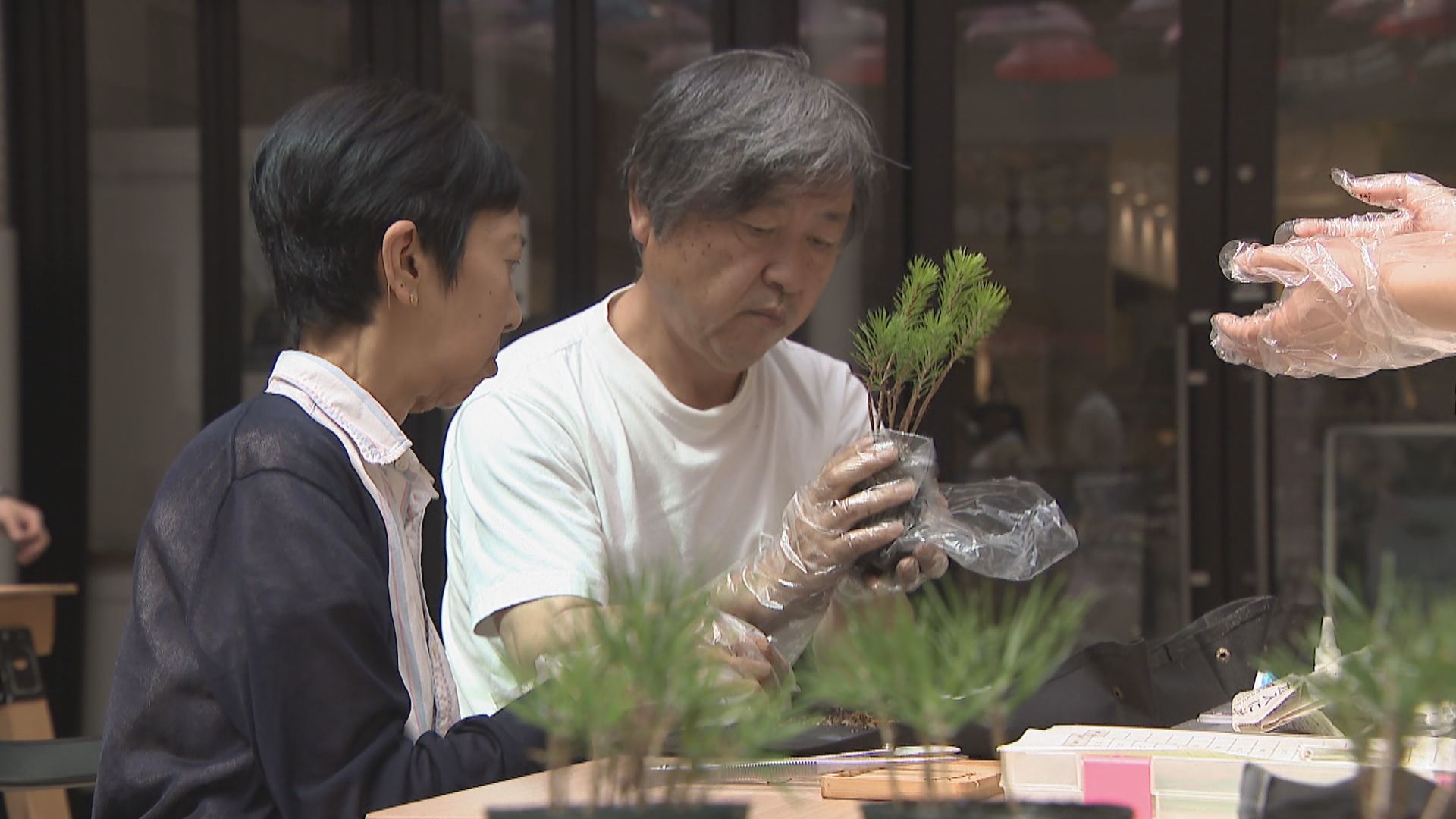 香川漆器や世界で人気の盆栽など…伝統的なものづくりを体験 高松市の