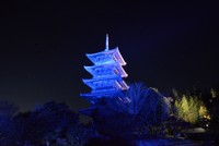 世界糖尿病デーに合わせて備中国分寺五重塔をライトアップ　岡山
