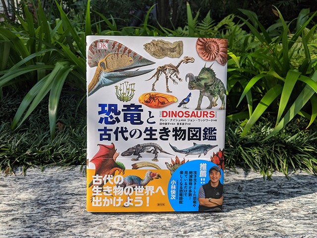 化石 古生物の世界 大型本 化石 古生物の世界 サカナからヒトへ | 王