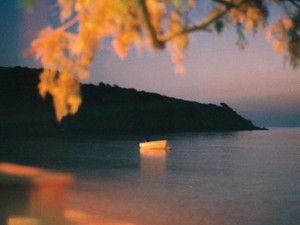 恋をしたことがない。淡白で冷酷な自分に、心底がっかりだ