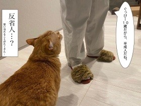 10歳だから「半分だけ成人」の愛猫ぐっぴー　おとなの仲間入りをしてもいいよね？ 