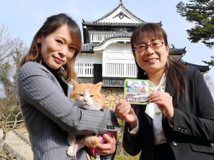 １００枚用意された、さんじゅーろーステッカーは観光客らに配布され午前中でなくなった