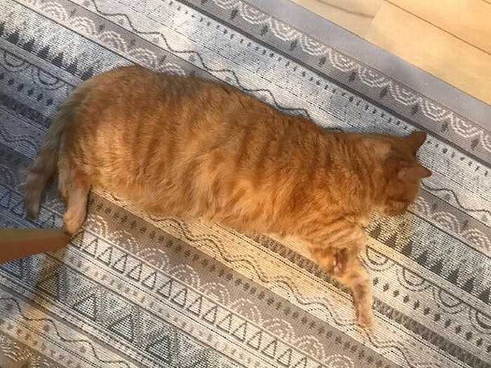 そうこうしてるうちに、また寝ちゃいました