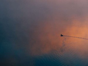 社会が求める結婚・出産を、自分の欲望だと勘違いして生きていた