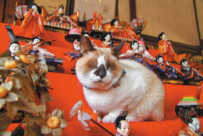 ひな祭り月間は、地元の人たちがひな壇を駅に持ち寄る