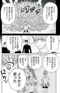 【漫画】『男として見ることができないと振られた男教師と生物学女子』29（小出もと貴さん提供）