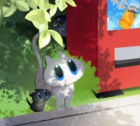 さあ「にゃん生」を歩みだそう（画像提供：ひなたぼっこズ）