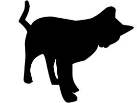 市役所の駐車場に猫の死体　おなかに傷　動物愛護法違反で捜査