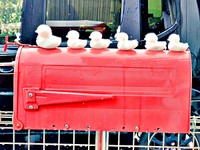 赤いポストの上に並んだ雪のアヒル（画像提供：mococoさん）