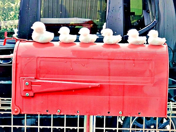 赤いポストの上に並んだ雪のアヒル（画像提供：mococoさん）