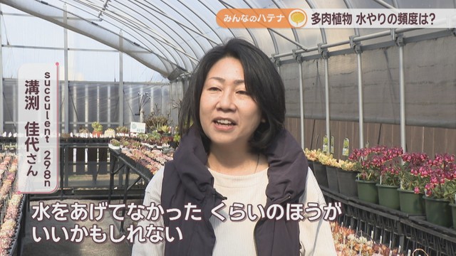 succulent 298n／溝渕佳代さん