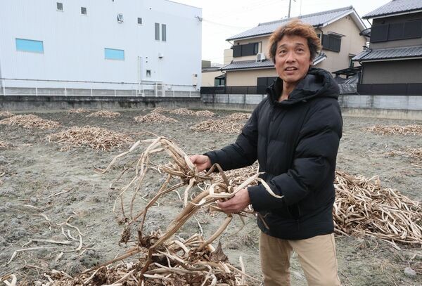 昨年クワイを収穫した畑で、クワイの栽培について説明する西村さん（京都市伏見区）