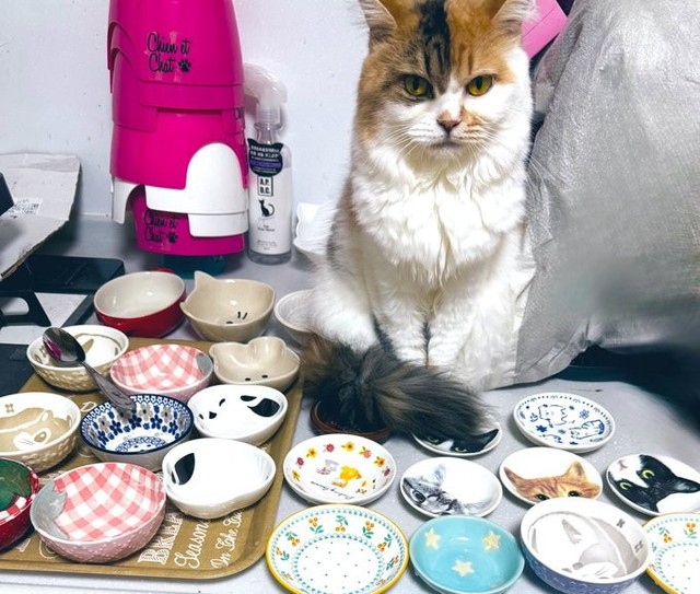 おやつの要求をしてくれることも