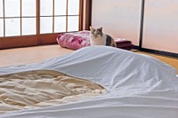 お宿のお部屋を巡回中～（画像提供：なつめさん）