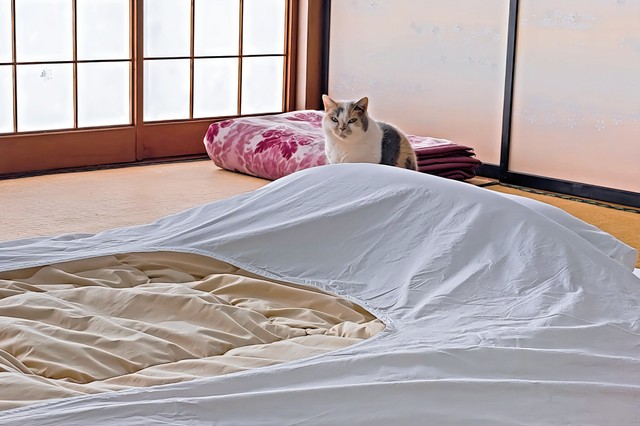 お宿のお部屋を巡回中～（画像提供：なつめさん）