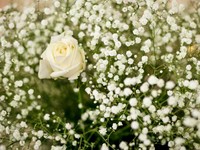 小学生の時から待ち望んだライブの開催は、私の夢が実現した瞬間