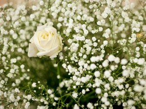 小学生の時から待ち望んだライブの開催は、私の夢が実現した瞬間