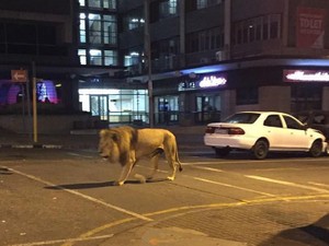 新型コロナで見えた「インフォデミック」の深刻さ　偽情報の氾濫で喜ぶのは誰か