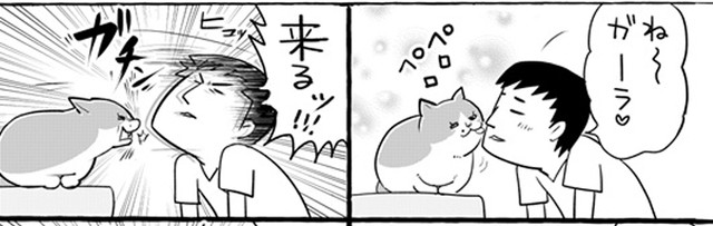 ハイレベルな遊びを繰り広げる旦那さんとガーラさん（提供：松本ひで吉さん）