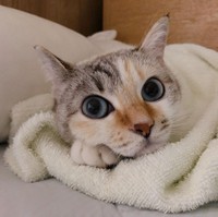 今日もまったり過ごしたにゃ