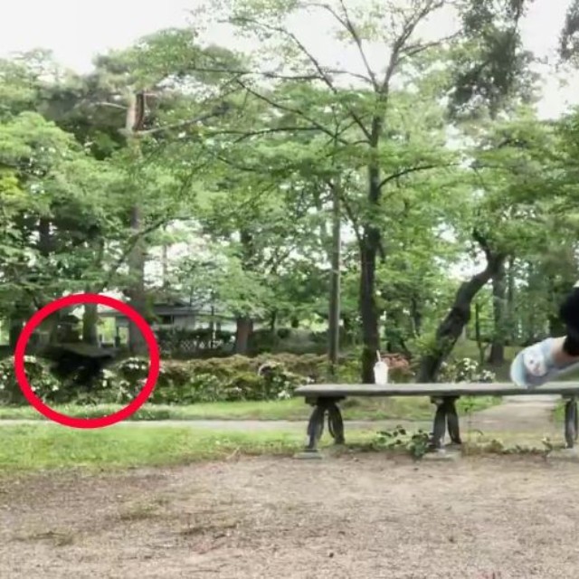 何やら黒いものが飛来！（赤丸の部分） ※人生いちかパチかさんのX動画より抜粋