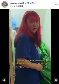 pecoのインスタグラム@pecotecoooより